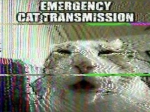 wwFxNyIb.jpg