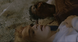 Movie cover image