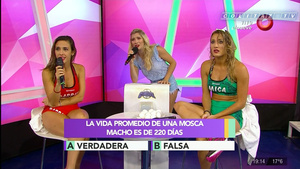 Mica.Viciconte.Huevos.Combate.1080P-ColitazTV.106.jpeg