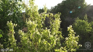 [Image: ME14KM2A_t.jpg]