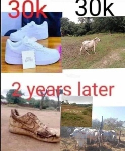 UU5DWkn0.jpg