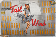nose_art___tail_wind_by_warbirdphotographer_db1j7j8-150.jpg