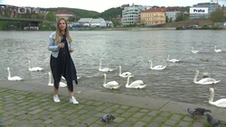 Obrázek