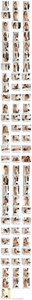 Permanent Link to 2009 11 24 Conny Army Of Love
