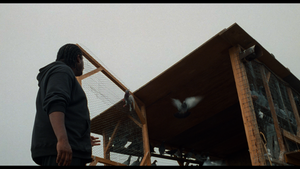 [Obrazek: MEZWZB5_t.png]