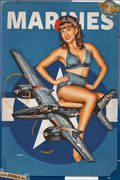 pinups___taming_the_tigercat_by_warbirdphotographer_dbivwi3-150.jpg