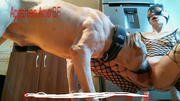 [Image: ME1DJPKA_t.png]