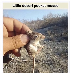 oZSKDdpy.jpg