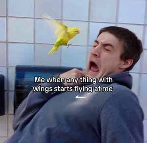 DBDE4bS2.jpg