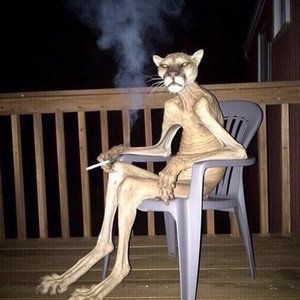 CiVVRC7n.jpg