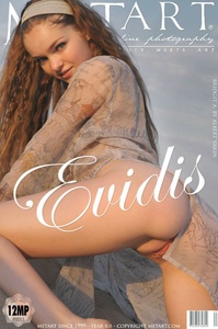 Permanent Link to 2011-01-12 – Bridgit A – Evidis x98