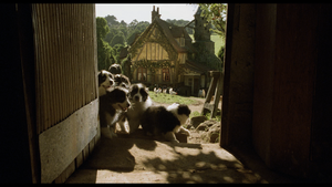 Movie cover image