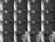 [Image: ME17WQHQ_t.jpg]