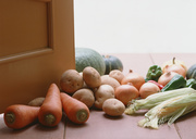 Сезонные овощи / Vegetables in Season MEH1OV_t