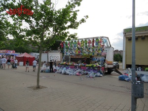IMG_7923.jpg
