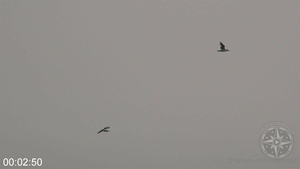 [Image: ME14KMB8_t.jpg]