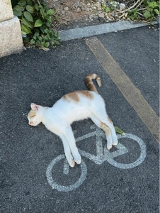 OxxrDbKn.jpg