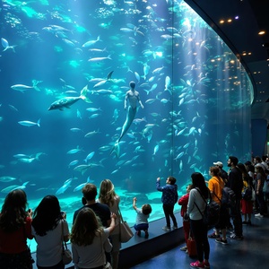 generated-image (1)-aquarium.jpeg