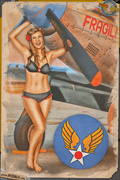 pinups___warming_a_mustang_by_warbirdphotographer_dbzibt3-150.jpg