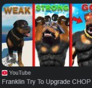 AgDsejya.jpg