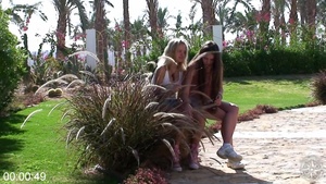 [Image: ME14KM22_t.jpg]