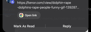 PVx9pYtk.jpg
