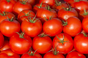 Сочные спелые помидоры / Juicy Ripe Tomatoes MEF616_t