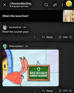 IfvqcuZO.jpg
