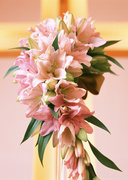 Праздничные цветы / Celebratory Flowers MEN9RC_t