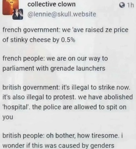 eOAQt1xu.jpg