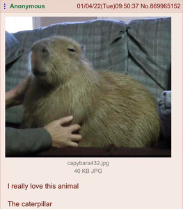XlYRui4e.jpg