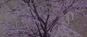 Movie cover image