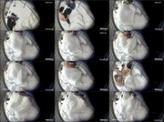 [Image: ME17WQF3_t.jpg]