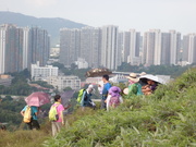 Hiking Tin Shui Wai 2023 July - 頁 2 MEP80FJ_t