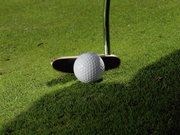 Гольф / Golf MEMZ6B_t