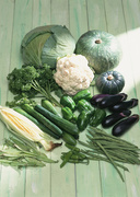 Сезонные овощи / Vegetables in Season MEH1NL_t