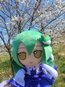 amUivFcg.jpg