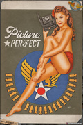 pinups____picture_perfect__by_warbirdphotographer_deti4mr-150.jpg