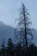 Йосемитская долина / Yosemite Valley MEJQ0R_t