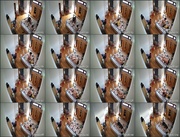 [Image: ME17WQI0_t.jpg]