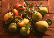 Урожай фруктов / Abundant Harvest of Fruit MEH308_t