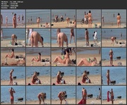 [Image: ME17UY66_t.jpg]