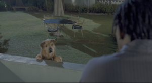 Movie cover image