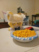 NiKcDC0a.jpg