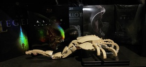 [Obrazek: ME10JRC6_t.jpg]