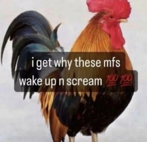 DCk0mPow.jpg