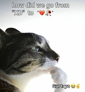 pHWUV5Mp.jpg