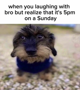 L4rakVLU.jpg