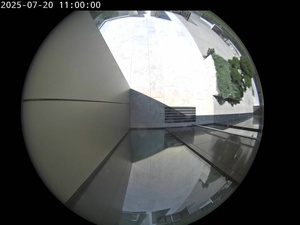 cPdbzP98.jpg