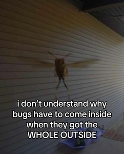 jDC8tdjF.jpg